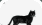 Puppy Foster Support Group avatar
