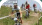 Regional Farm Sanctuary Shelter Group avatar