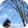 Owl & Raptor Watchers icon