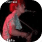 Wolf & Predator Coexistence Forum icon