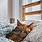 Sacramento Animal Rescue