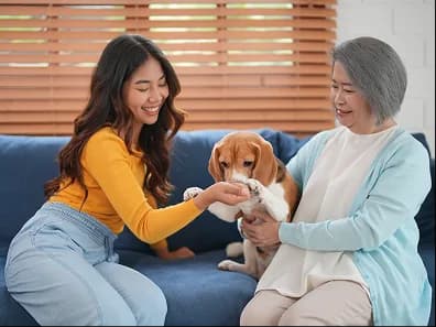 Two women on a sofa with a beagle