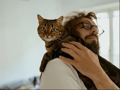 A tabby cat perched on a bearded man's shoulder