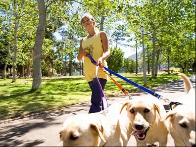 A woman walking several dogs through a park