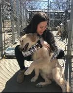 A woman hugging a dog in a shelter kennel