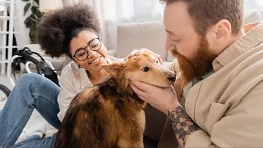 A couple smiling with their foster dog