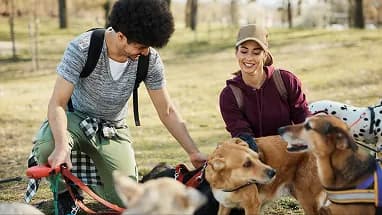 Two people walking a group of dogs in a park