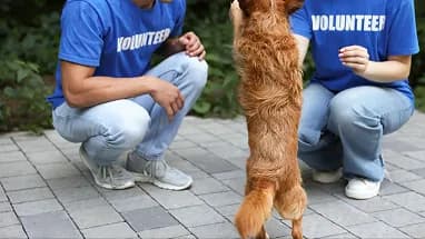 Volunteers crouching beside a dog standing on its hind legs