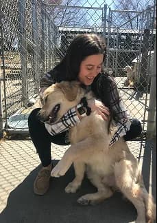 A woman hugging a large dog at a shelter