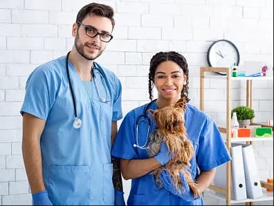 Two veterinary assistants holding a small dog