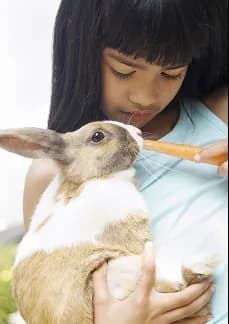 A girl feeding a rabbit a carrot
