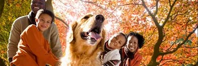 A family outdoors in autumn with their golden retriever