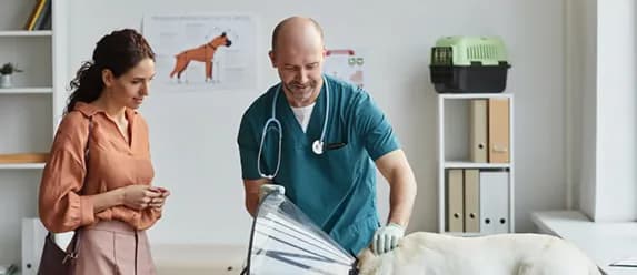 A veterinarian talking with a dog owner in an exam room