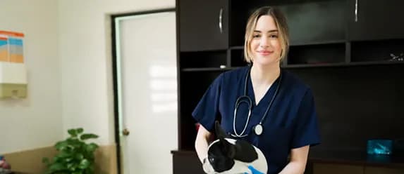 A veterinarian holding a small dog in a clinic office