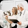 Two vets and an owner with a husky in an exam room