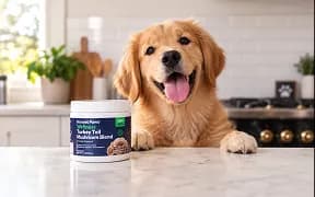 A golden retriever puppy on a kitchen counter behind a tub of formula