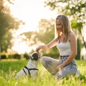 Sarah Kim grooming a dog outdoors