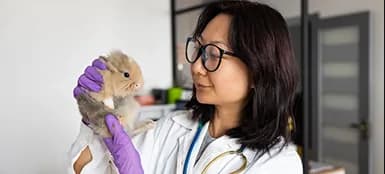 Dr. Elena Kowalski examining a rabbit