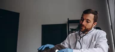 Dr. James Rodriguez examining a dog with a stethoscope