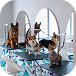 Pawfect Grooming Studio