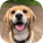 Sacramento Animal Rescue