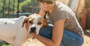 A volunteer kneeling beside a white and brown hound.