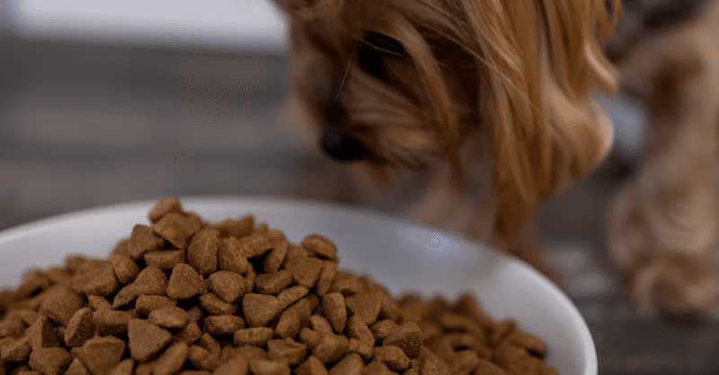 Pet food and treats