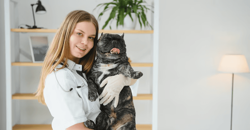 Veterinary services