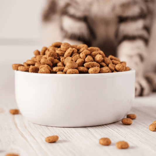 Animal-aligned companies