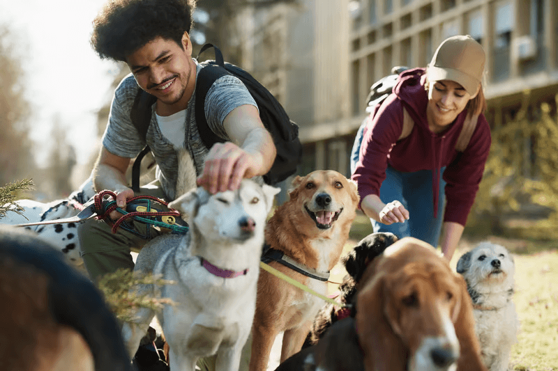 Nonprofits and advocacy