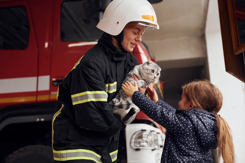Rescues and shelters