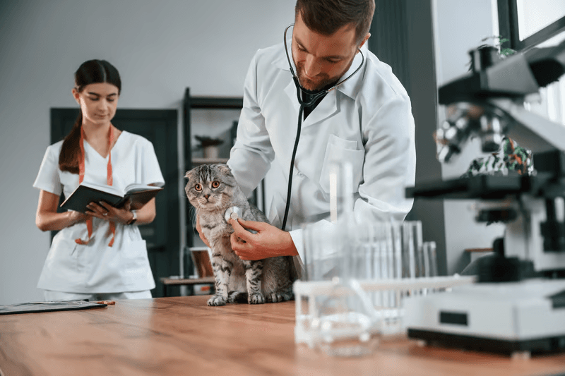 Research and education