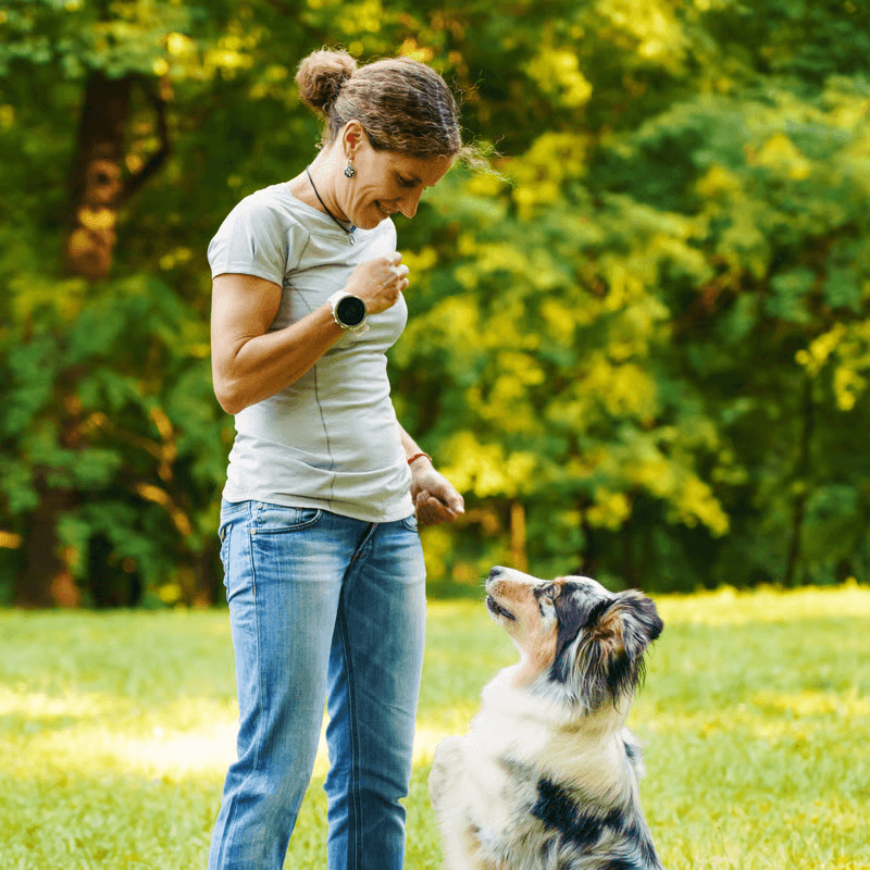 Trainers and behaviorists