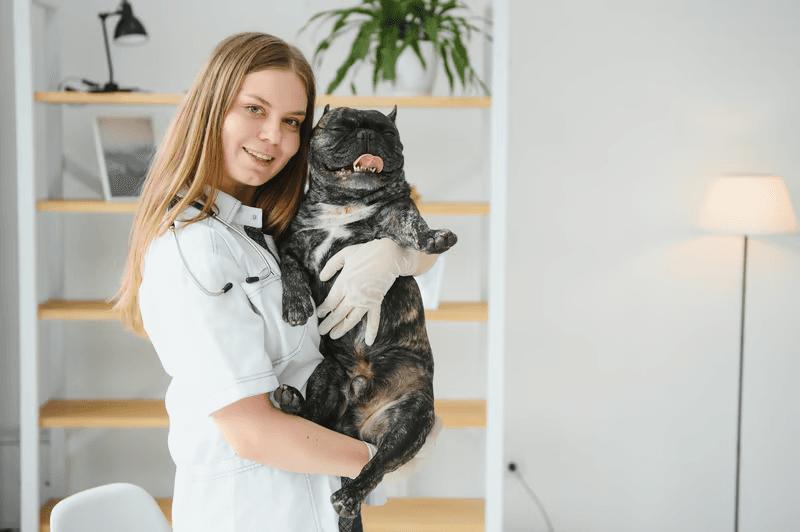 Veterinary professionals