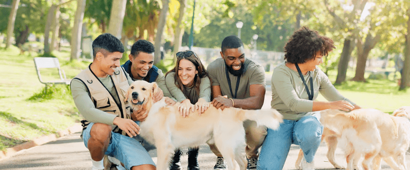 Puppy Training Course