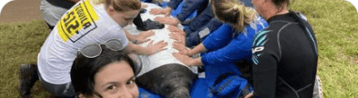 Sacramento Valley Wildlife Rescue banner