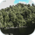 Habitat Conservation