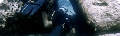 Sea Turtle Conservation Community banner