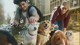 Volunteers outdoors with a group of dogs
