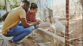 Volunteers checking on rescued rabbits in outdoor hutches