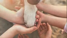A puppy's paw resting in a circle of hands