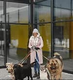 A woman walking two dogs past a glass building
