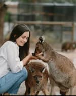 A woman feeding a wallaby