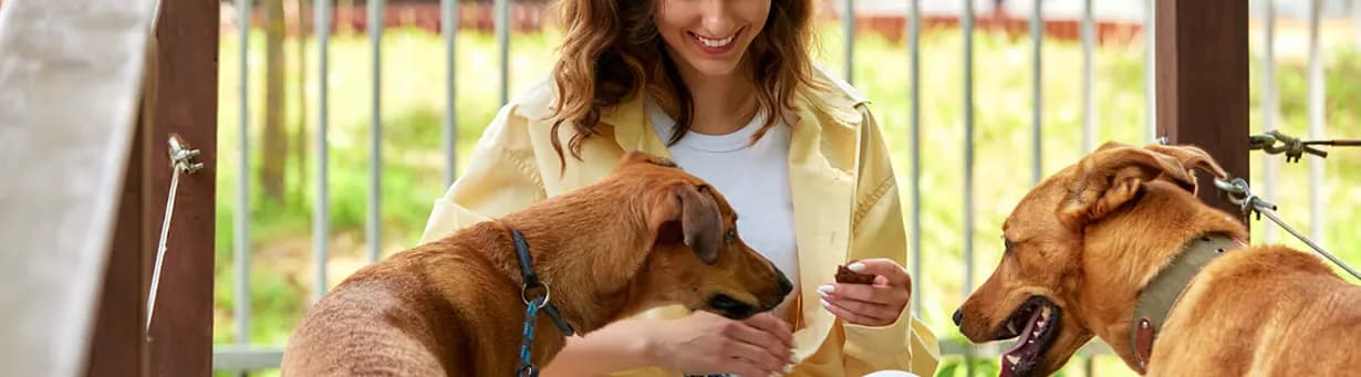 A woman offering a treat to two dogs at a park