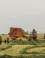 A tractor working a hay field