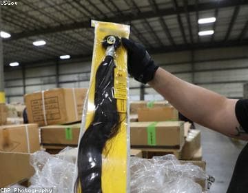 Multi-country ivory trafficking network dismantled