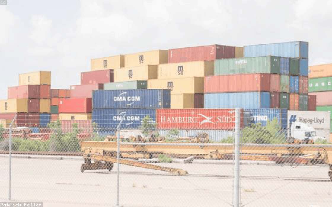 Multi-country ivory trafficking network dismantled