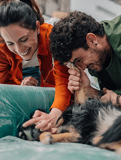 Animal rescue and shelter