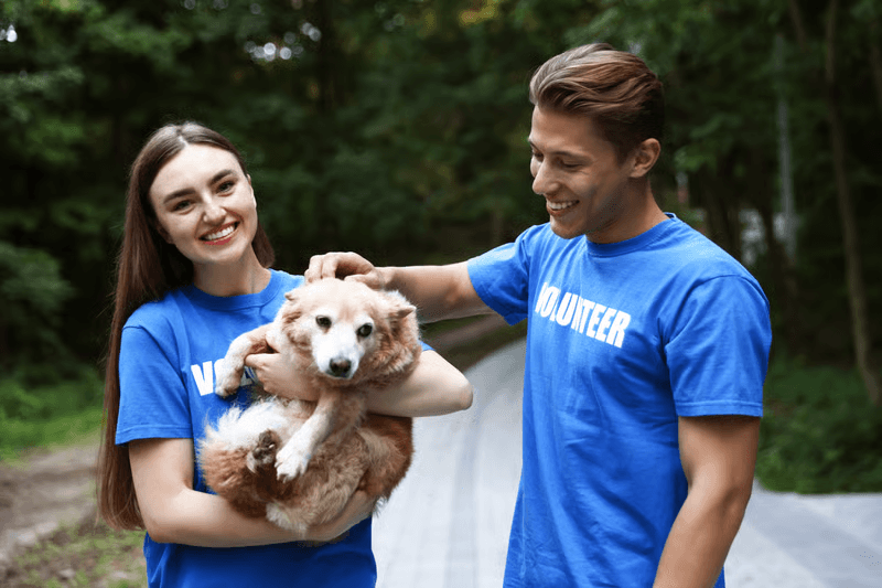 Happy Dog Rescue shelter facility