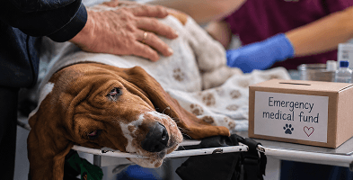Emergency medical fund